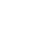 Airbag Compatible Icon