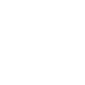 Premium Italian Leather Icon